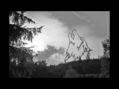 Rekonvalescence - STRÁŽCE ÚDOLÍ VLKŮ - REKONVALESCENCE