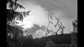 STRÁŽCE ÚDOLÍ VLKŮ - REKONVALESCENCE