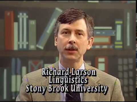 "Chomsky on Evolution", Stony Brook Interview #3 with Richard Larson