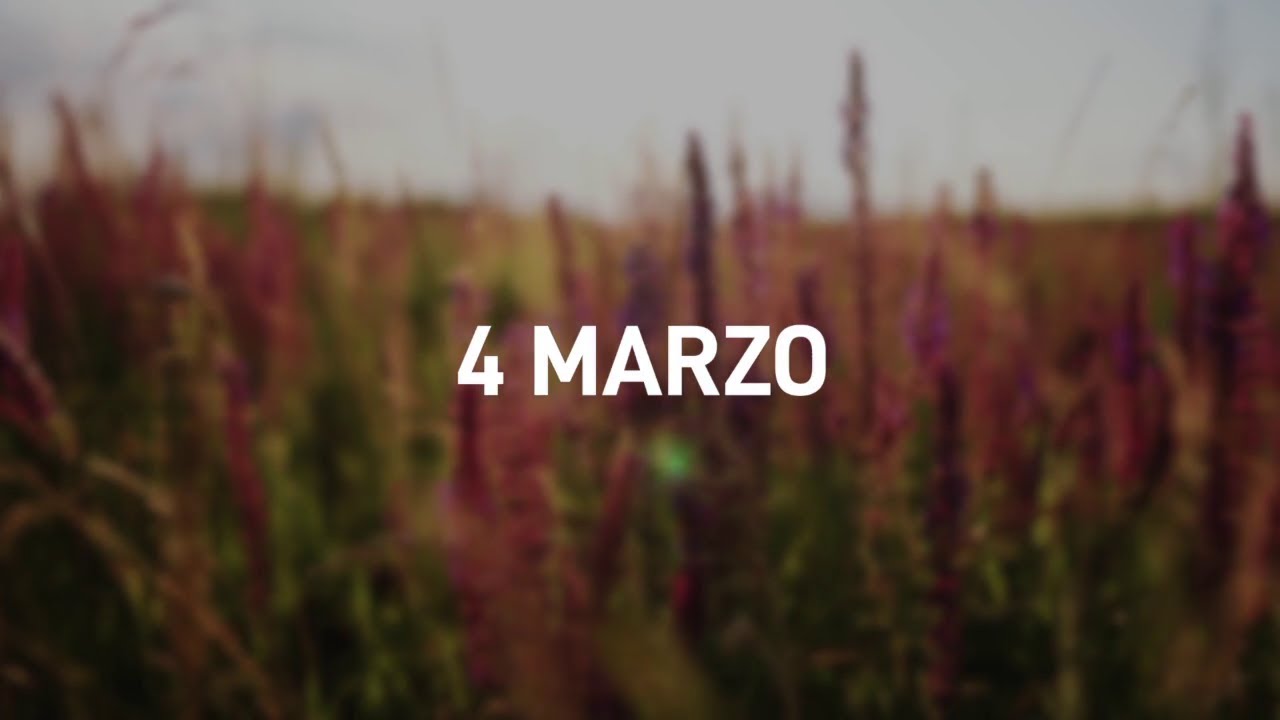 4 Marzo 2025 | Meditazione Parole di Vita