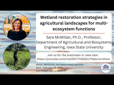 Wetland Restoration: Balancing Ecology and Economy | Vibepedia