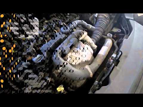 BG Products EPR & 244   Engine Shake Disappears from Ford Focus