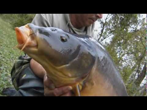 Karpfenangeln 144 Videotagebuch MLotz - Der Talk mit Martin Gruber