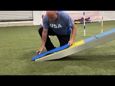 Ultimate Dogwalk Running Contact Mat - Clean Run
