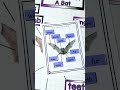 Bats Science & Writing