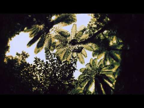 Matias Aguayo - Mucho Viento