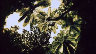 Matias Aguayo - Mucho Viento