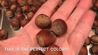Roasted Hazelnuts In Shell