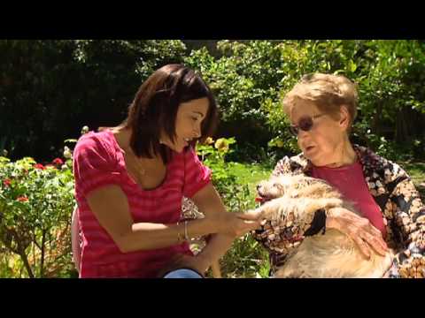 Pets Can Make You Healthy