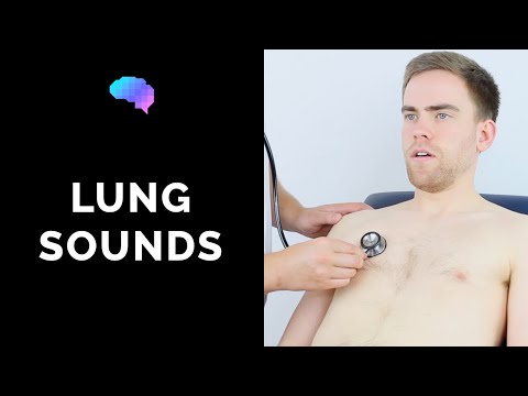 Lung sounds (respiratory auscultation sounds) | UKMLA | CPSA