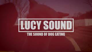 Lucy Sound Teaser