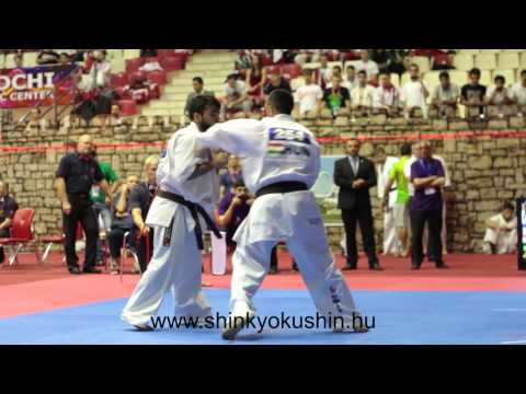 Gábor Rózsa vs Mammadov Etibar - EUROPEAN SHINKYOKUSHIN KARATE CHAMPIONSHIP, 2014 BAKU