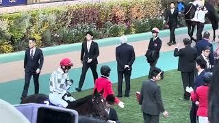 #勝負レース  2024Japan cup パドック❣️