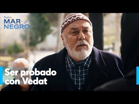 ¿Qué es el precio de mi pecado Sr. Osman? - Mar Negro Capítulo 127 | Fugitiva