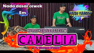 Download lagu Camelia - Rhoma irama karaoke nada cewek Em versi bangplak mp3 Download lagu Camelia - Rhoma irama karaoke nada cewek Em versi bangplak mp3