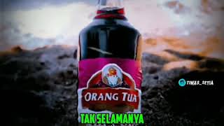 Download lagu Story wa anggur merah mp3