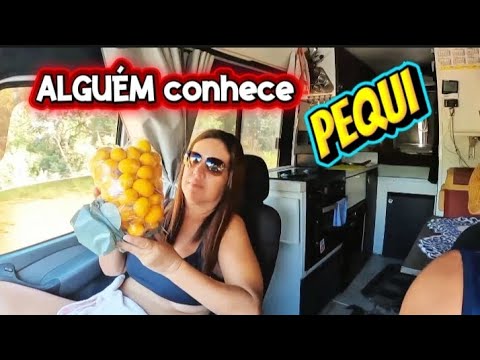 PEQUI se morder vai pro HOSPITAL, de Motorhome por Minas Gerais 