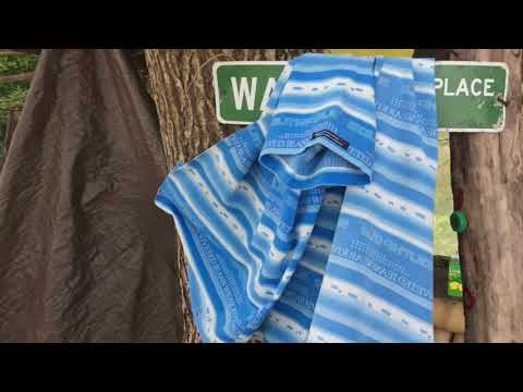 Crabs at Wayne's Place on Bloody Bay Negril, Jamaica June 14, 2021