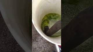 Coolant Flush, my way. #automobile