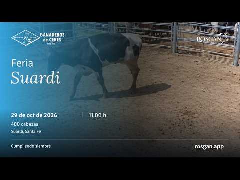 Feria Suardi | Suardi, Santa Fe