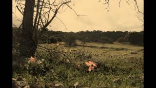 Alfredo Costa Monteiro - "Umbralia" part 1 of 3