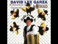 David Lee Garza Y Los Musicales ♪ Cosa Rica