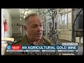 Brandvlei Inmates Learn Agricultural Skills