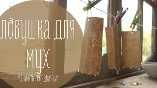 Ссылка