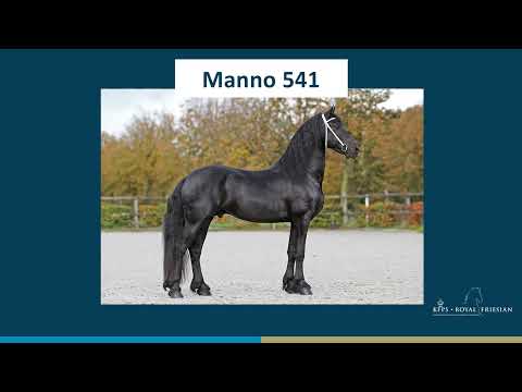 Manno 541
