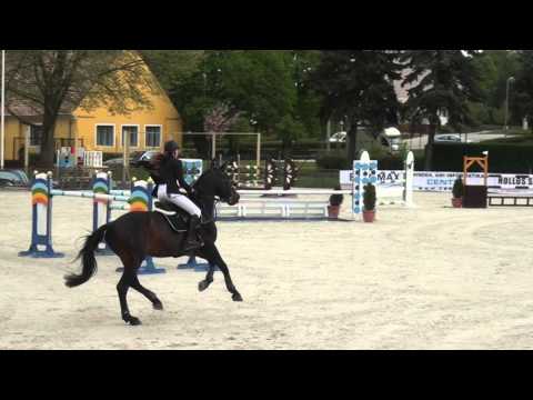 Kof-Kiss Dorka Viador Bábolna