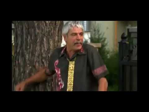 MOȘTENIREA - Flacăra și State