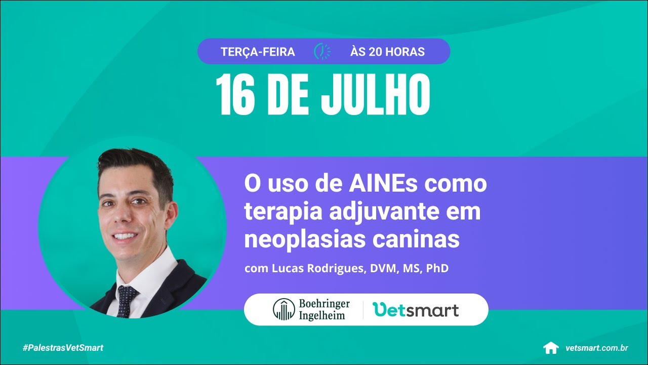 O uso de AINES como terapia adjuvante em neoplasias caninas
