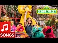 Sesame Street: Maren Morris sings Oops! Whoops! Wait, Ah ha! Song Sesame Street: Maren Morris sings Oops! Whoops! Wait, Ah ha! Song