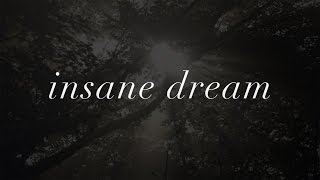 Aimer／insane dream