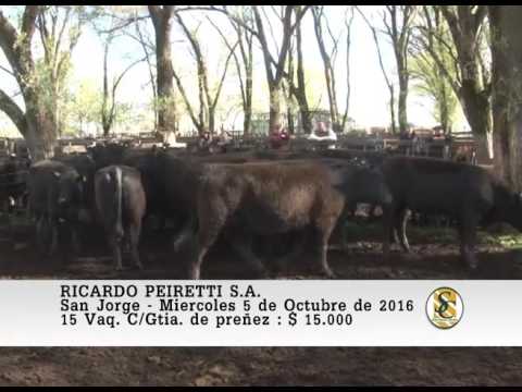 05-10-16 Venta de Vientres - Ricardo Peiretti S.A. - San Jorge.