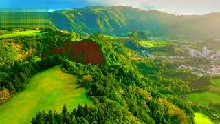 Nature in the forests