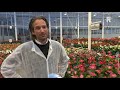 Tuinbouwbedrijf Anthura laat zien wat ze doen