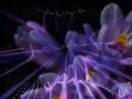 Drunk with Divine Love ~ A Kind of Madness ...