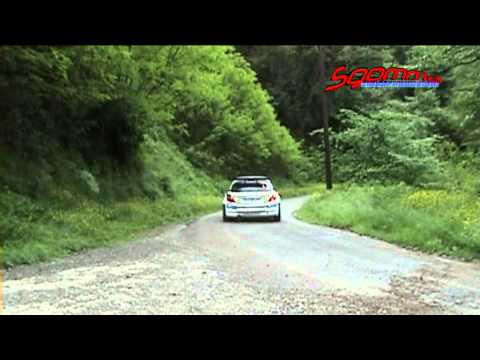 29° Rally Della Valdinievole 2013 Speciale Lucchesi - Ghilardi 1' Assoluti
