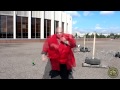 МС Игарян-мотивация 