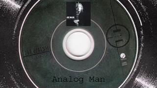 Joe Walsh - Analog Man