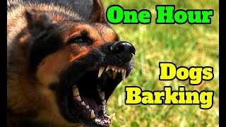 Dogs Barking for One Hour - barking sounds for 60 