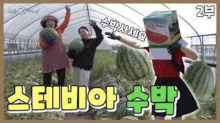 [나는농부다 360회 2부] 수박밭 금수저! 은혜 씨의 꽈당 일기