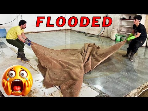 The Flood of Forgotten Filth from a Neglected Rug | ASMR CLEANING