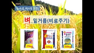 [농사정보] (4월3주)  벼_밑거름(비료주기)