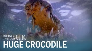 British Holidaymaker Stared Into The Jaws Of A 13-Foot Crocodile In Mexico