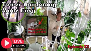 Tower Gardening Made Easy LIVE CAM #towergarden #hydroponicgardening #garden #farm #aeroponic