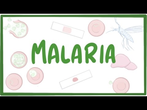 Se aiuta nemozol da un lyambliya Se decarice aiutato da helminths