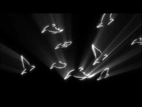 Quindon Tarver - When Doves Cry (Audio)