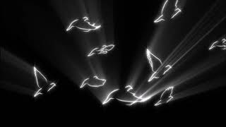 Quindon Tarver - When Doves Cry (Audio)